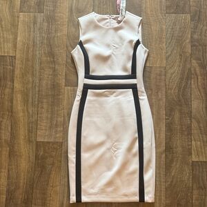 Sheath Dress - Blush with Black Trim